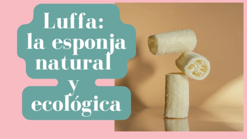 Luffa: la esponja natural y ecológica